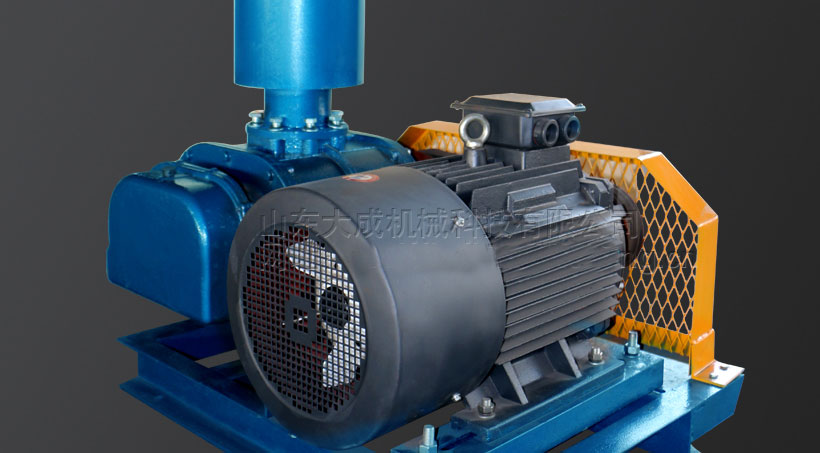 DSR200羅茨風(fēng)機(jī)